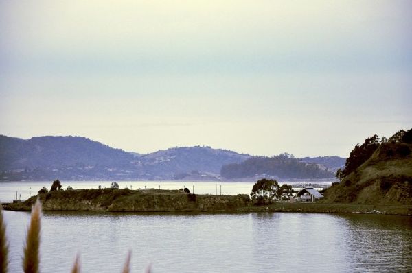 http://u.s.kqed.net/2013/03/07/molate.jpg